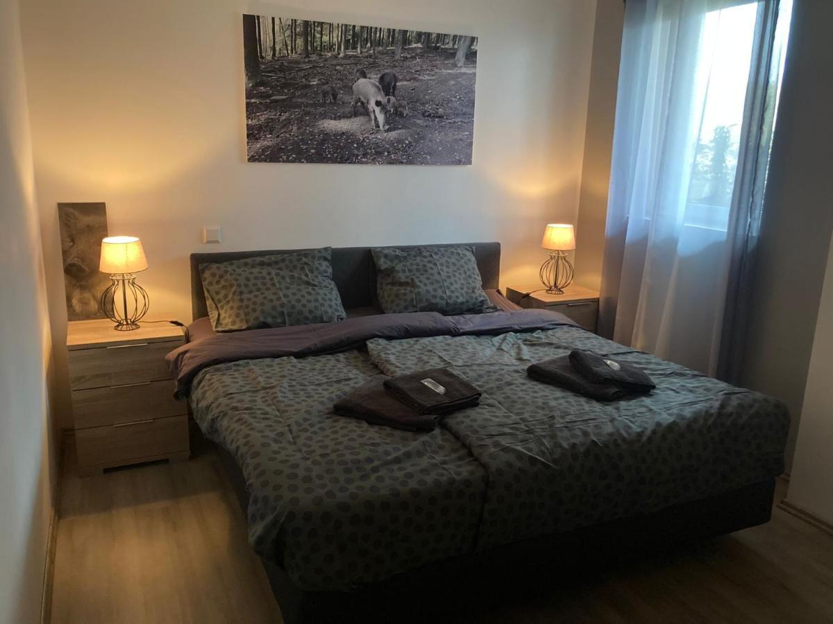 Comfortable 4-Person Apartments Winterberg Medebach Extérieur photo